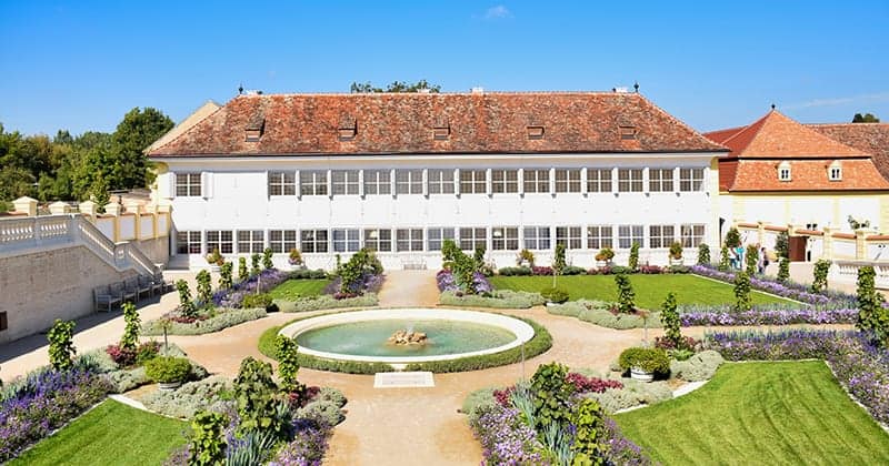 Schloss Hof - Paardenkoets