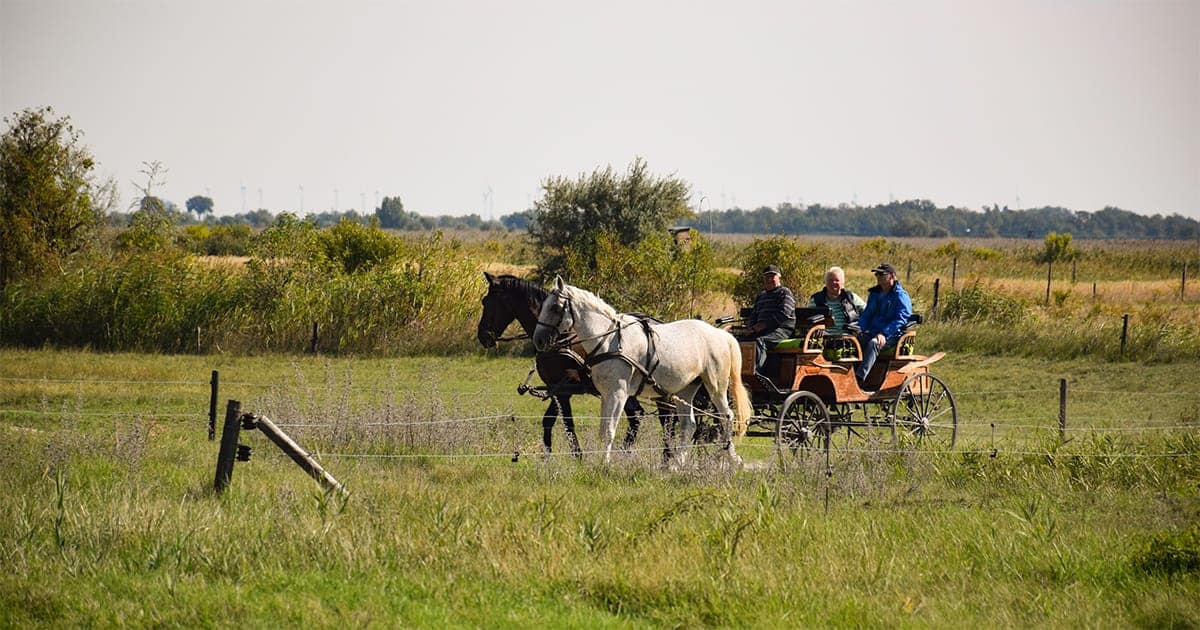 Landschap