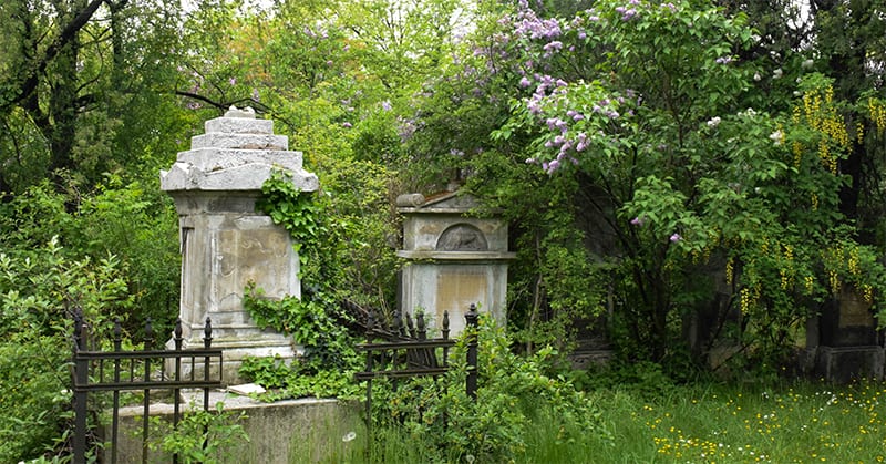 Friedhof St Marx - Gräber