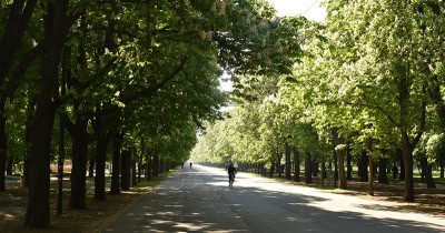 Prater Hauptallee