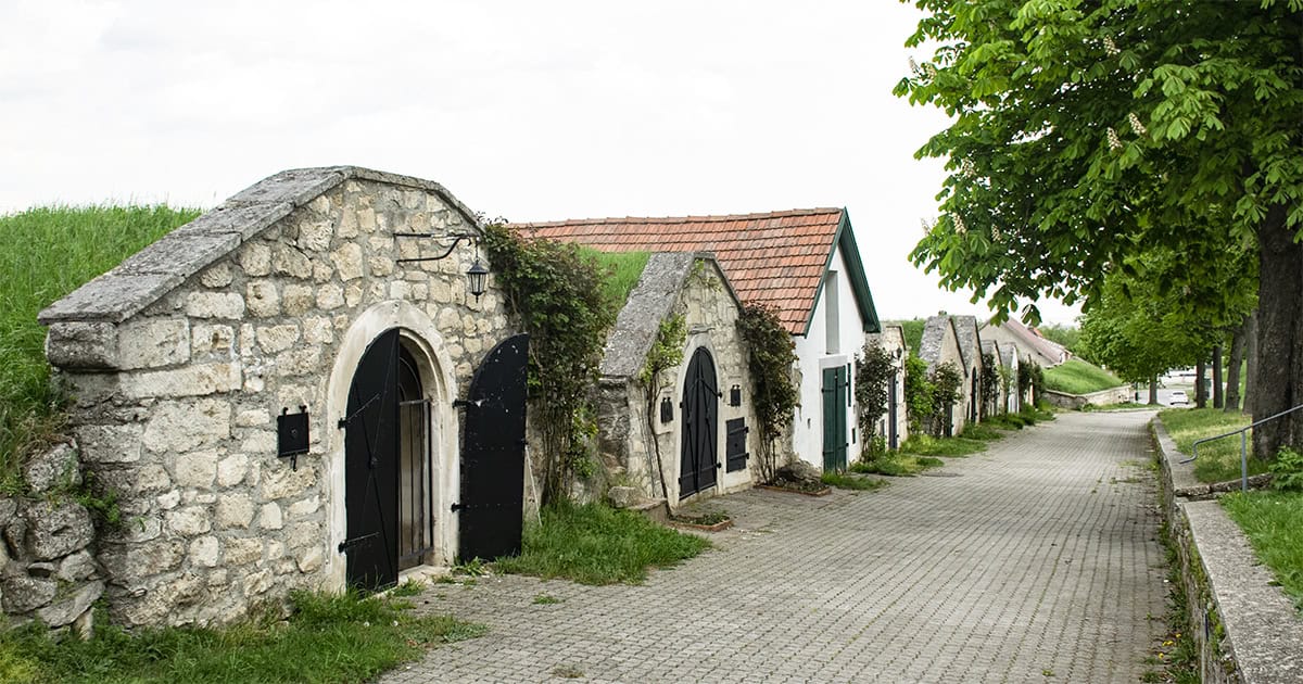 Kellergasse in Breitenbrunn