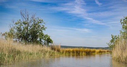 Neusiedlersee