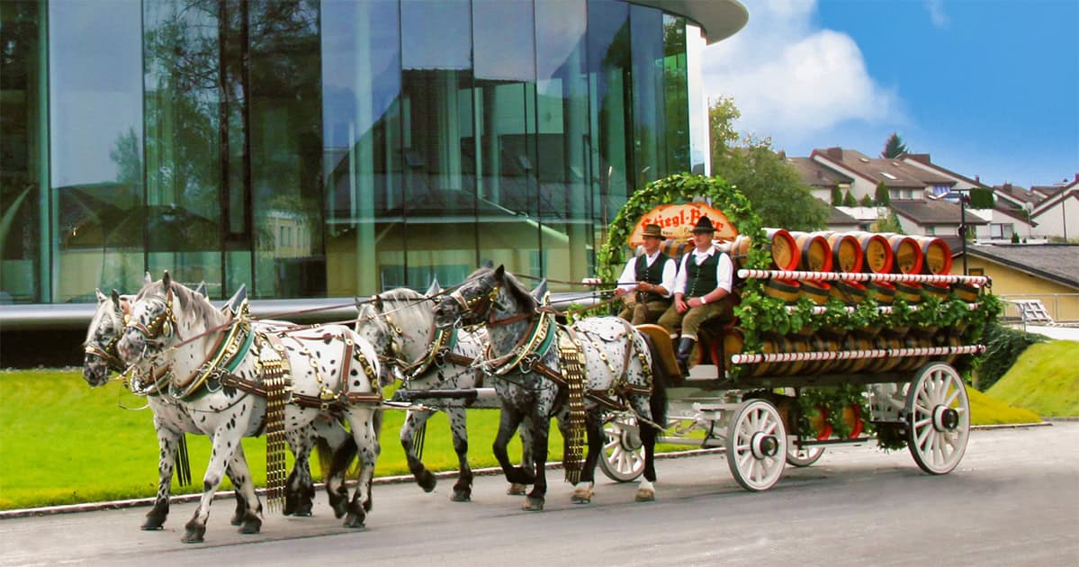 Stiegl bezorgt in de nabije omgeving nog steeds bier met paard en wagen