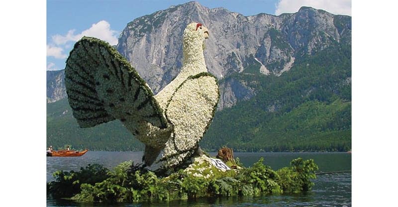 Salzkammergut Narzissenfest