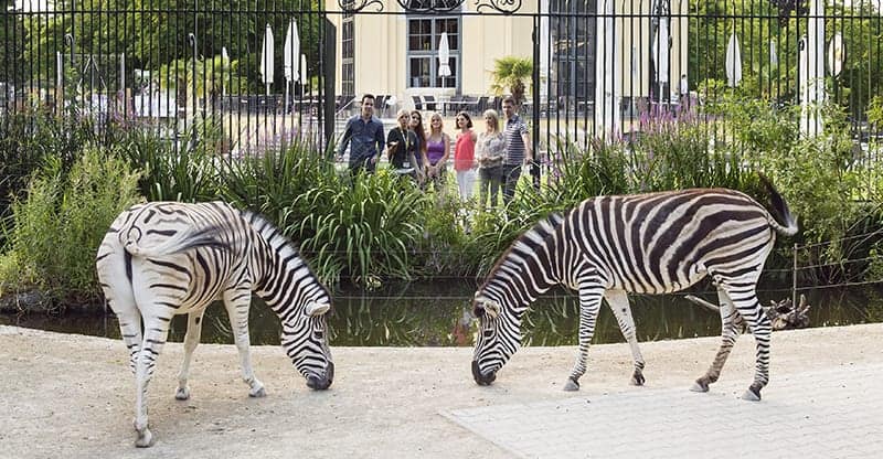 Tiergarten Schönbrunn