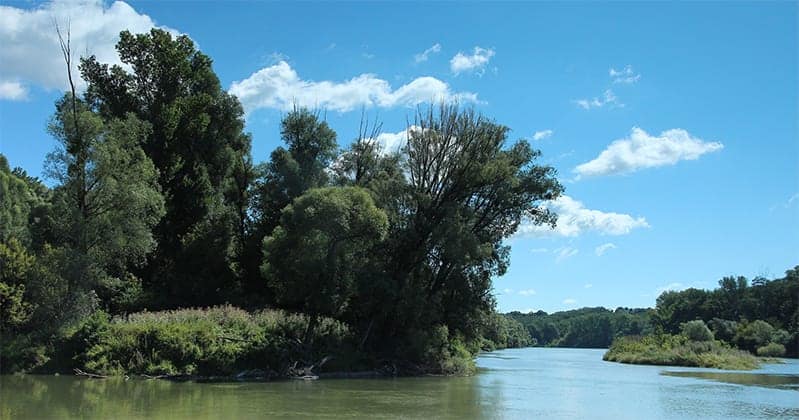 Donauau tussen Wenen en Hainburg