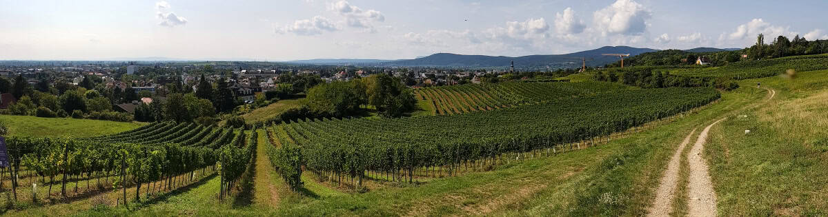 Uitzicht op Bad Vöslau