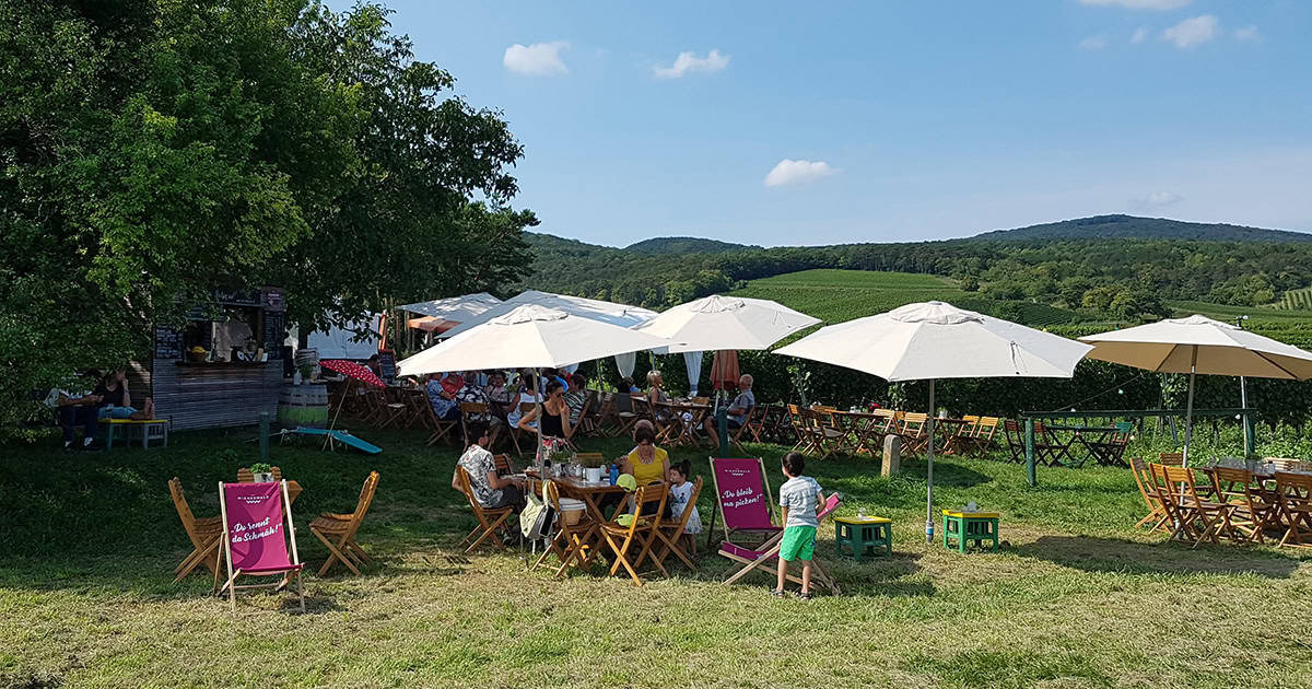 Terras in de wijngaarden langs de Genussmeile