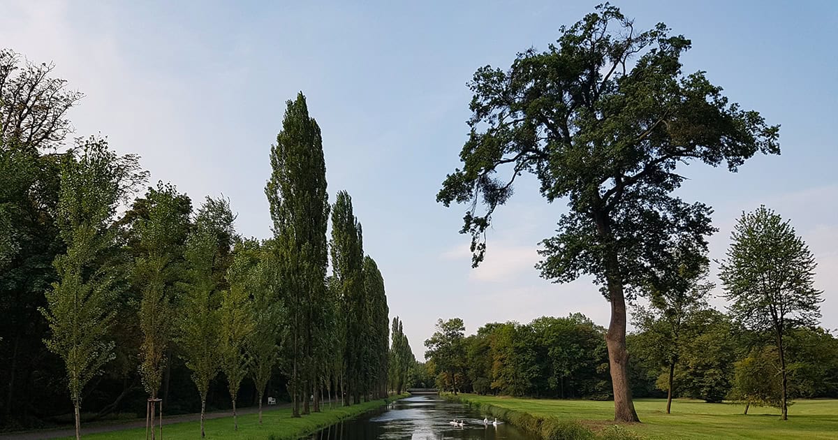 Toevoerkanaal