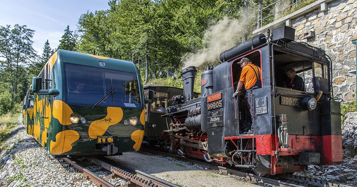 Schneebergbahn Nostalgiedampfzug-und-Salamander