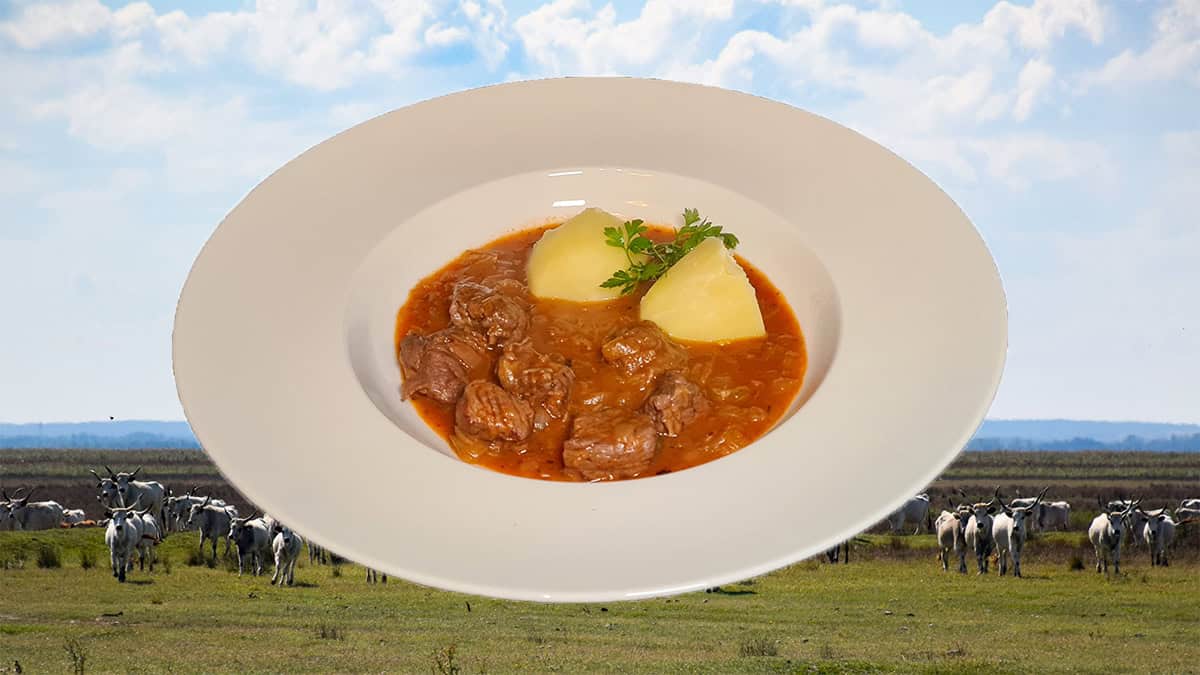 Goulash