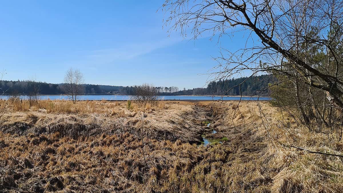 Heidenreichsteiner Moor