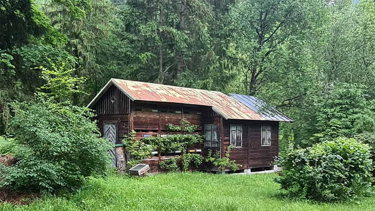 Romantische bijenkasten langs de Malersteig