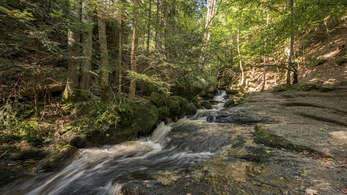 Ysperklamm