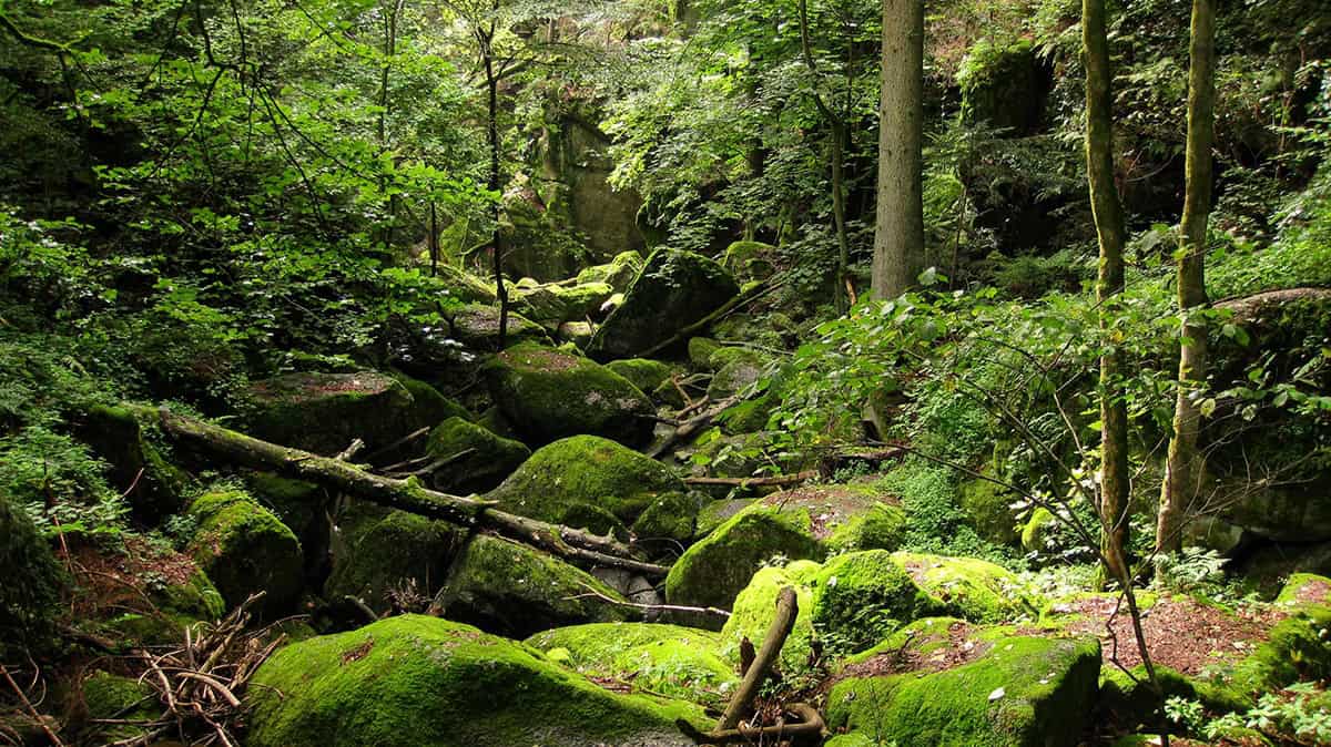 Stillensteinklamm