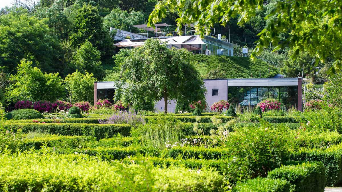 Tierwelt Herberstein - Maki-huis