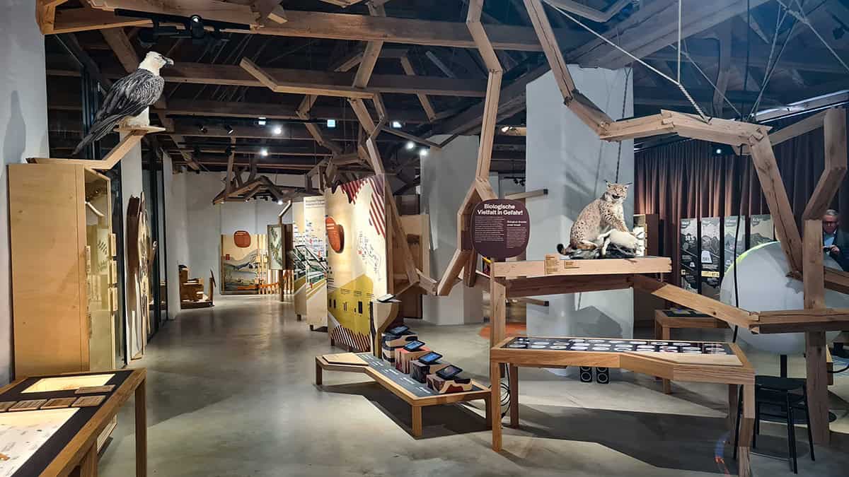 Tentoonstelling 'Vielfalt des Lebens'