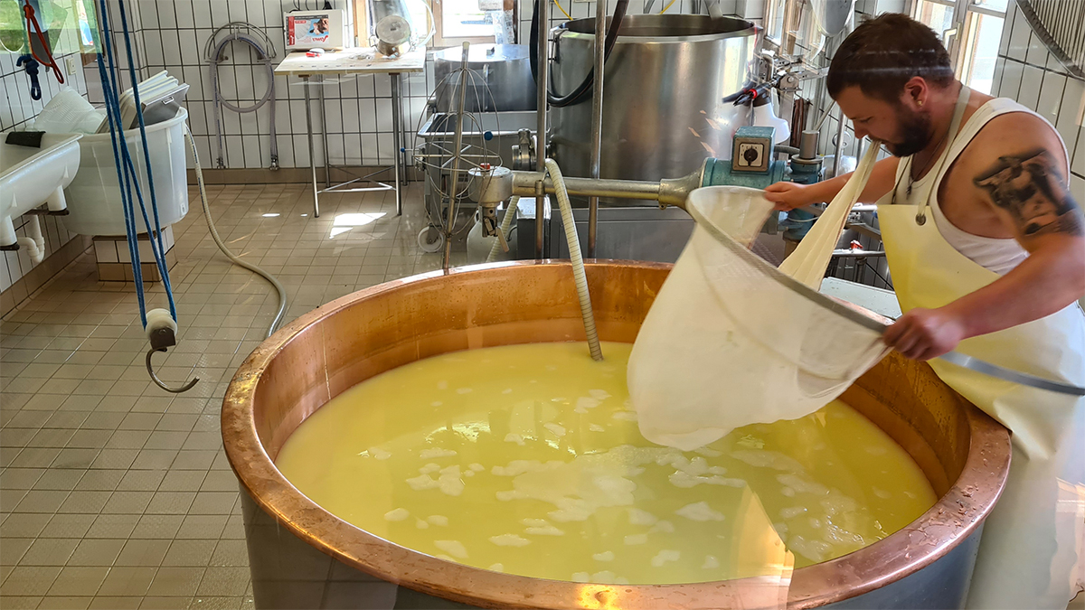 Kaasmaker aan het werk in de Alpe Rona